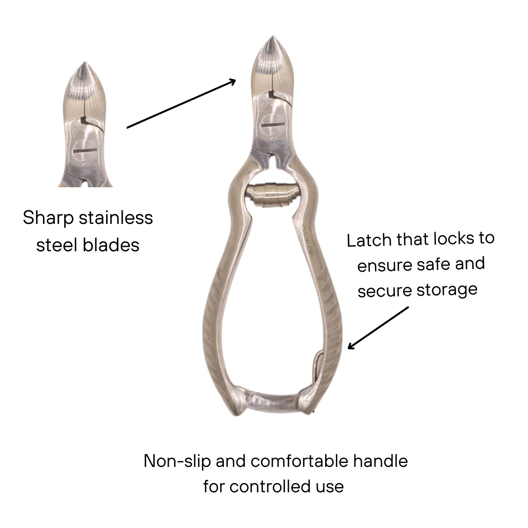 Rendezvous Stainless Steel Nipper