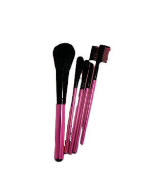 Makeup 5 Piece Brush Kit